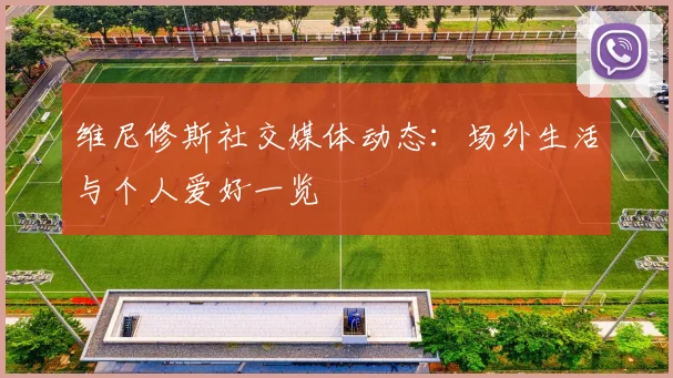 维尼修斯社交媒体动态：场外生活与个人爱好一览